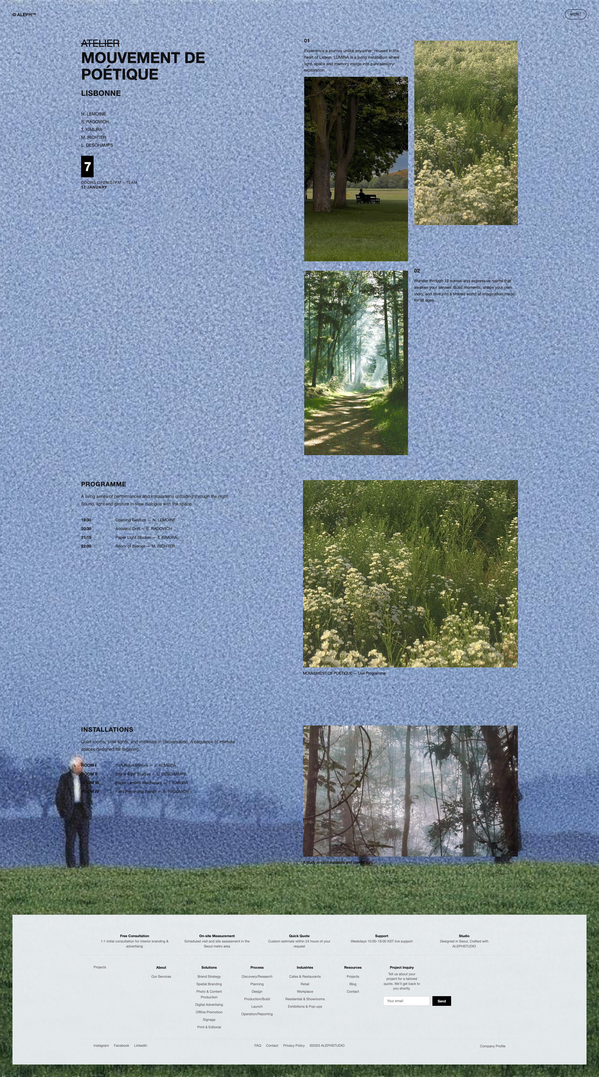 MASKARITE BROOCH product photo